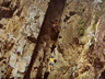 Climbers at Grips late 70s. Photo courtesy Rob Mac Geoghan collection.