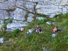 The Spiral Route before Traverse of the Gods, Lizelle Niit, Werner Illenberger, Clive Louw, Derek & Juan-Dray Marshall 22/04/2024. Photo Derek Marshall.