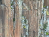 Climbers on Screech of the Bras, Easter 2025, photo thanks Derek Marshall.