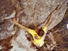 Climbing on the Slipper Early 80s.  Photo courtesy Rob Mac Geoghan collection.
